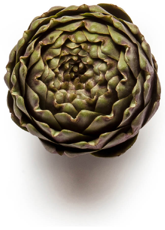 Artichoke